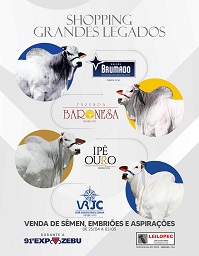 SHOPPING GRANDES LEGADOS