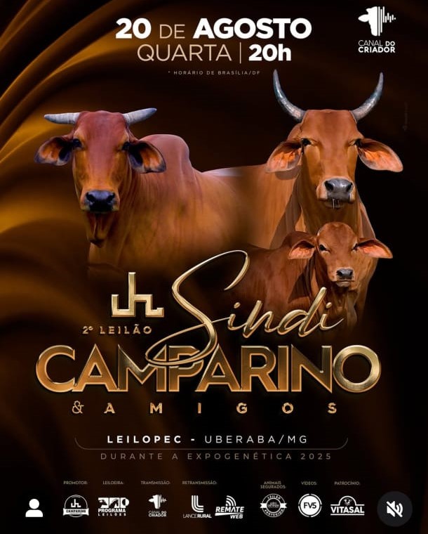 2º Leilão Sindi Camparino & Amigos